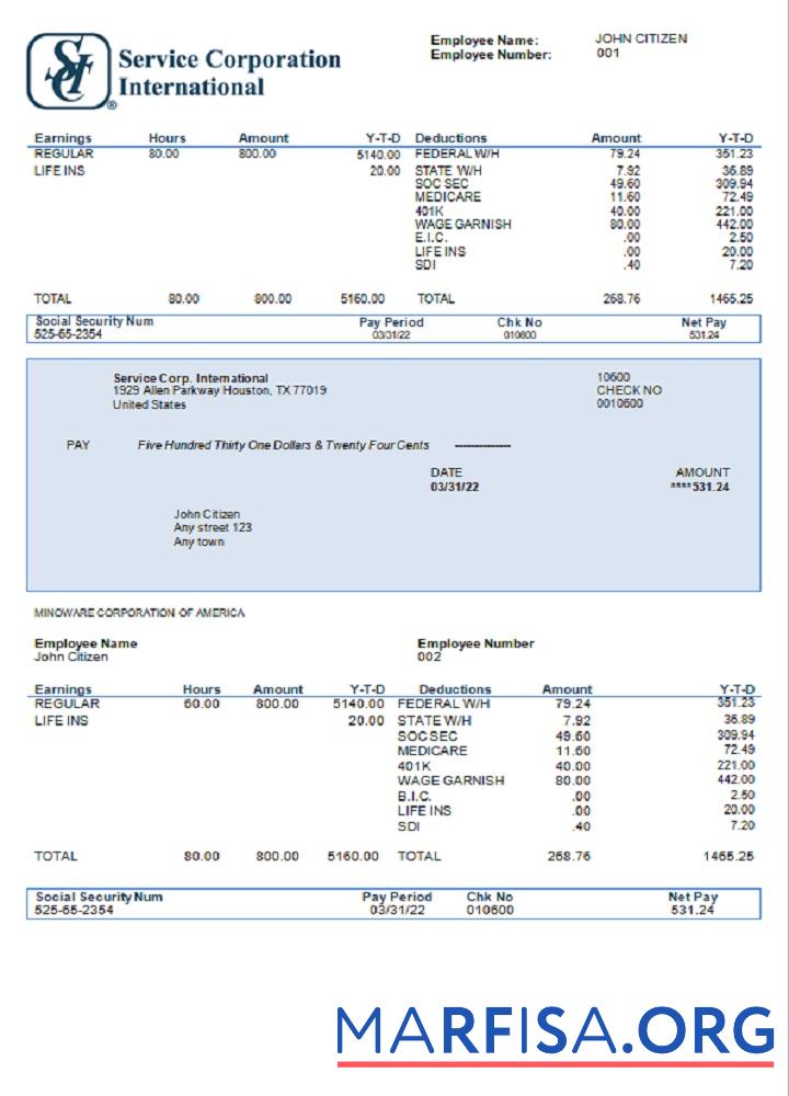 Blank USA Service Corp. International consumer discretionary company pay stub example